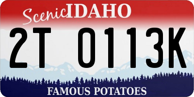 ID license plate 2T0113K