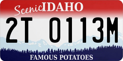 ID license plate 2T0113M