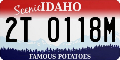 ID license plate 2T0118M