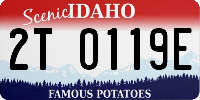 ID license plate 2T0119E