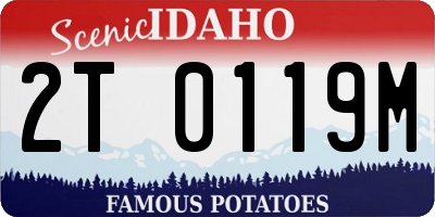 ID license plate 2T0119M
