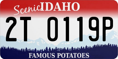 ID license plate 2T0119P