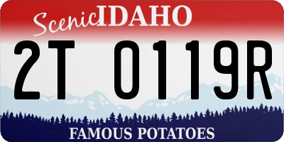 ID license plate 2T0119R
