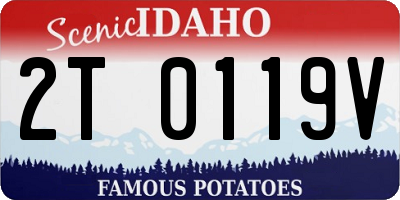 ID license plate 2T0119V