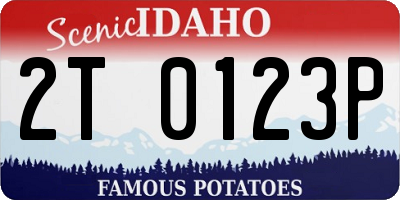 ID license plate 2T0123P
