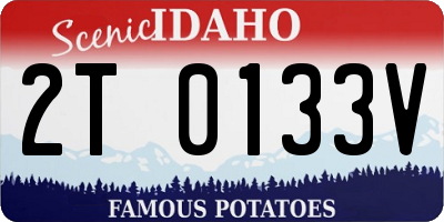 ID license plate 2T0133V