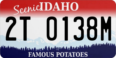ID license plate 2T0138M