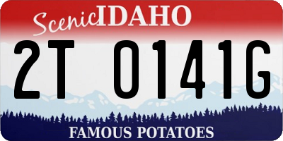 ID license plate 2T0141G