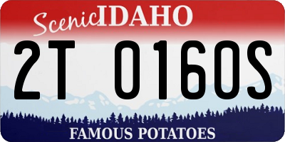 ID license plate 2T0160S