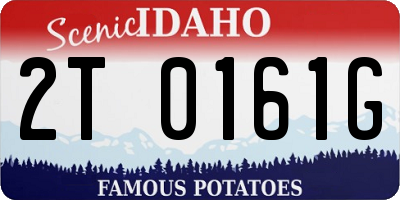 ID license plate 2T0161G