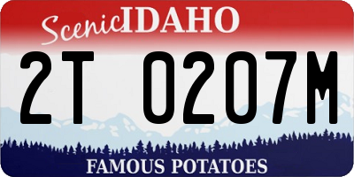 ID license plate 2T0207M