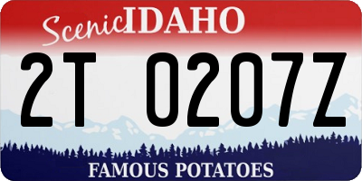 ID license plate 2T0207Z