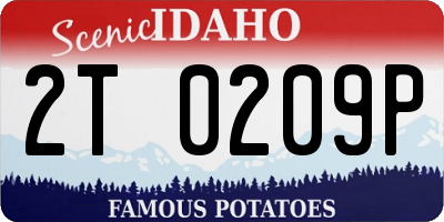 ID license plate 2T0209P