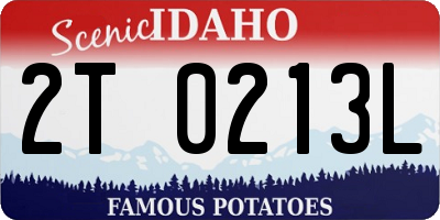 ID license plate 2T0213L