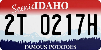 ID license plate 2T0217H