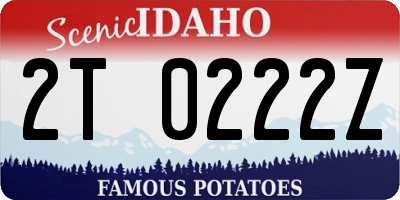 ID license plate 2T0222Z