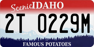 ID license plate 2T0229M