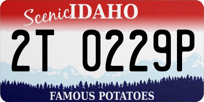 ID license plate 2T0229P