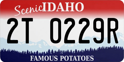 ID license plate 2T0229R
