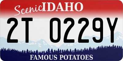 ID license plate 2T0229Y