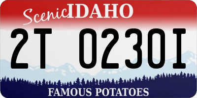 ID license plate 2T0230I