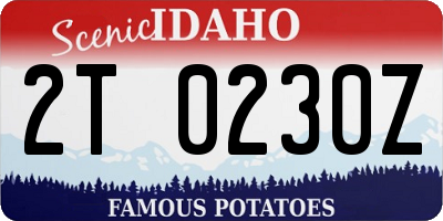 ID license plate 2T0230Z