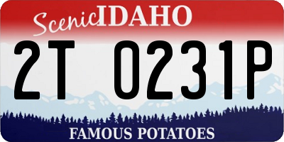 ID license plate 2T0231P
