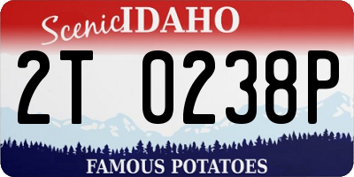 ID license plate 2T0238P
