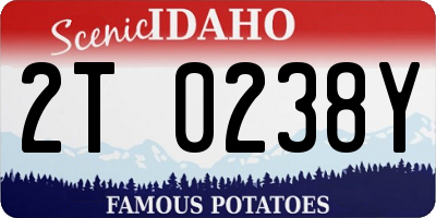 ID license plate 2T0238Y