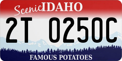 ID license plate 2T0250C