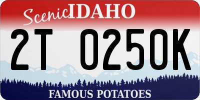 ID license plate 2T0250K