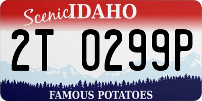 ID license plate 2T0299P