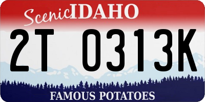 ID license plate 2T0313K