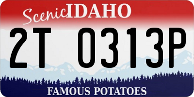 ID license plate 2T0313P