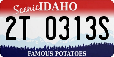 ID license plate 2T0313S