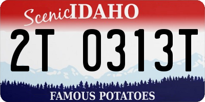 ID license plate 2T0313T