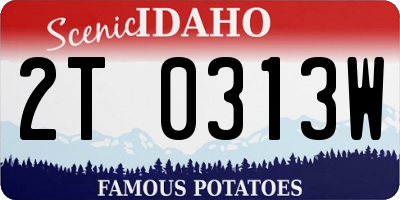 ID license plate 2T0313W