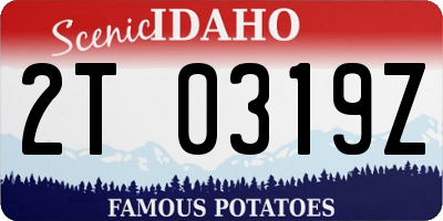 ID license plate 2T0319Z