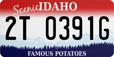ID license plate 2T0391G