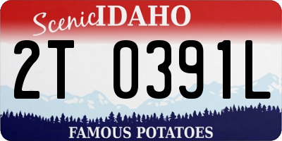 ID license plate 2T0391L