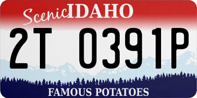 ID license plate 2T0391P