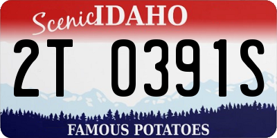 ID license plate 2T0391S