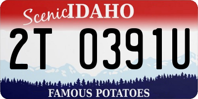 ID license plate 2T0391U