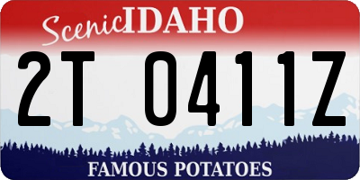 ID license plate 2T0411Z