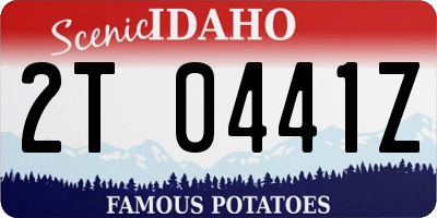 ID license plate 2T0441Z
