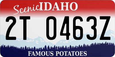 ID license plate 2T0463Z