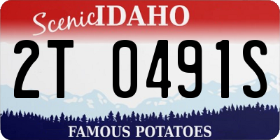 ID license plate 2T0491S