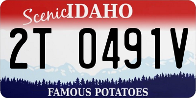 ID license plate 2T0491V