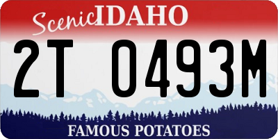ID license plate 2T0493M