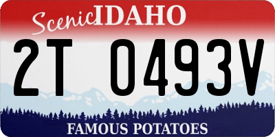 ID license plate 2T0493V